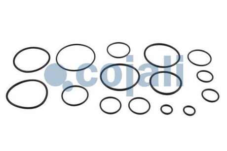 Фото 3 - Автозапчастина COJALI 6012001