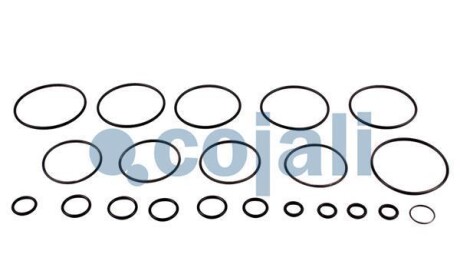 Фото 3 - Рем. комплект COJALI 6012054