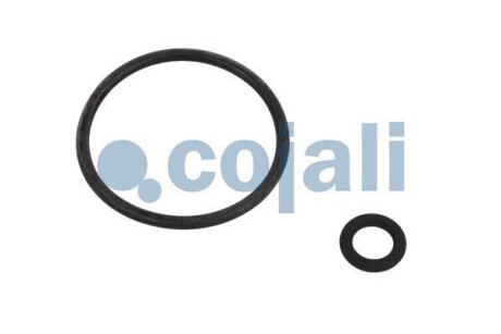 Фото 3 - Рем. комплект COJALI 6012256