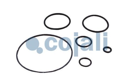 Фото 3 - Автозапчастина COJALI 6014010