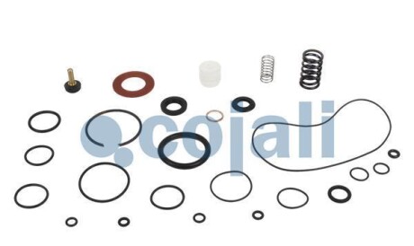 Ремкомплект клапана - COJALI 6014150
