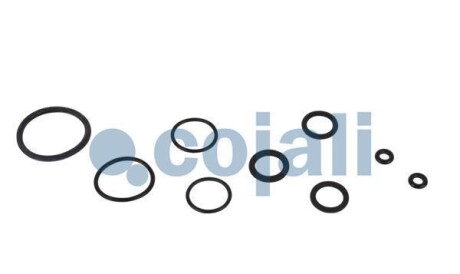 Фото 3 - Рем. комплект COJALI 6034023