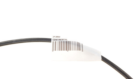 Фото 2 - Ремінь приводний Continental 2PJ800