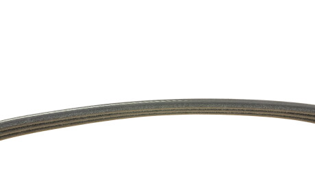 Фото 3 - Ремінь приводний Continental 3PK576 ELAST (3PK576ELAST)