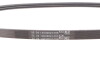 Поліклиновий ремінь FORD COUGAR, MAVERICK, MONDEO I, MONDEO II, MONDEO III FORD USA ESCAPE HYUNDAI ELANTRA III MAZDA TRIBUTE 2.0/2.5/3.0 07.94- - ((3954187, 7204039, AJ0318381, F53E8K543AA, F53E8K543AB)) Continental 3PK683 (фото 5)