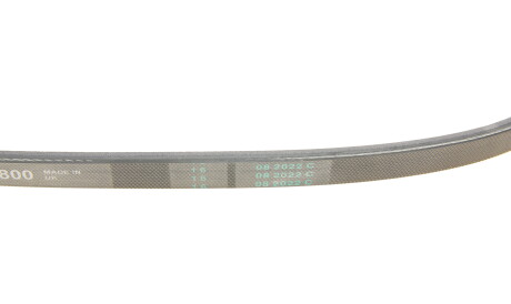 Фото 3 - Ремінь приводний Continental 3PK800