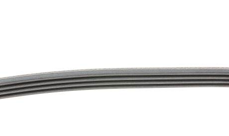 Фото 2 - Ремінь приводний Continental 4PK1125