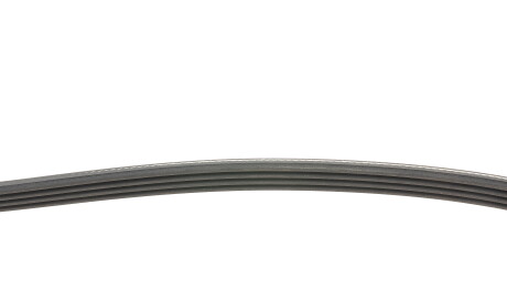 Фото 2 - Ремінь приводний Continental 4PK1170