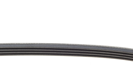 Фото 2 - Ремень приводной Continental 4PK1590