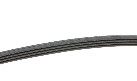 Фото 2 - Ремінь приводний Continental 4PK635