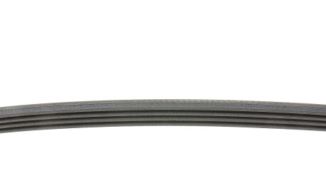 Фото 2 - Ремінь приводний Continental 4PK750