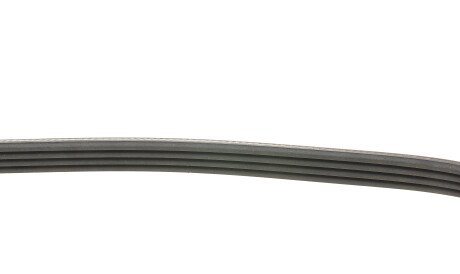 Фото 2 - Ремінь приводний Continental 4PK765