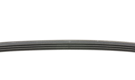 Фото 2 - Ремінь приводний Continental 4PK790