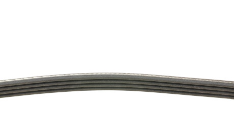 Фото 2 - Ремень приводной Continental 4PK795