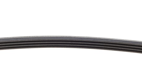 Фото 3 - Ремень приводной Continental 4PK800