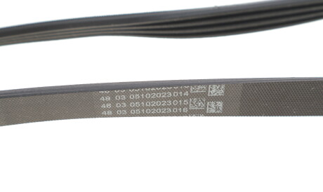 Фото 3 - Ремінь приводний Continental 4PK811 ELAST (4PK811ELAST)