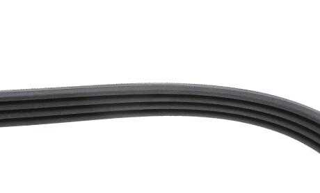 Фото 5 - Ремінь приводний Continental 4PK811 ELAST (4PK811ELAST)