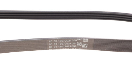 Фото 2 - Ремінь приводний Continental 4PK830 ELAST (4PK830ELAST)