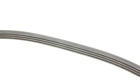 Фото 3 - Комплект ремня ГРМ Continental 4PK922 ELAST T1 (4PK922ELASTT1)