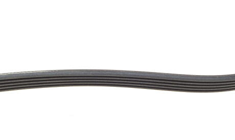 Фото 2 - Ремінь приводний Continental 5PK1000