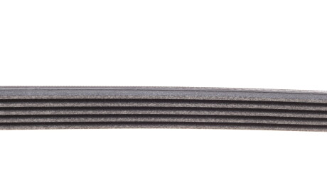 Фото 3 - Ремень приводной Continental 5PK1005