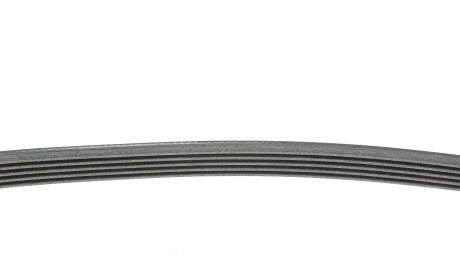 Фото 2 - Ремінь приводний Continental 5PK1010