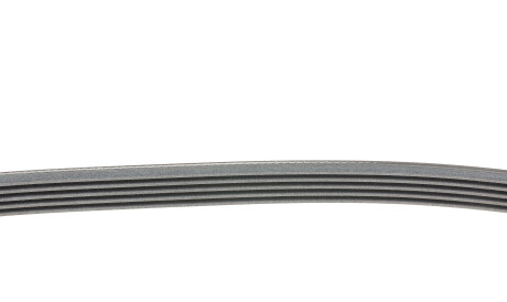 Фото 2 - Ремінь приводний Continental 5PK1015