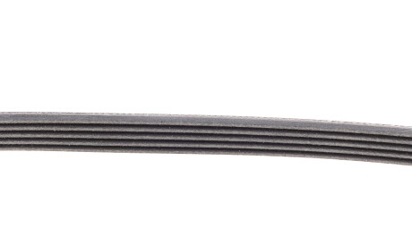 Фото 3 - Ремінь приводний Continental 5PK1025