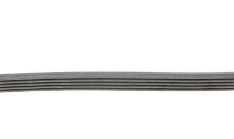 Фото 2 - Ремінь приводний Continental 5PK1035