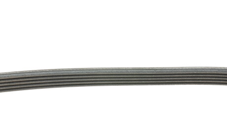 Фото 2 - Ремінь приводний Continental 5PK1040