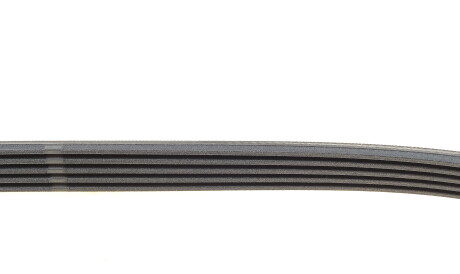 Фото 2 - Ремінь приводний Continental 5PK1060