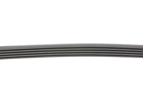 Фото 2 - Ремінь приводний Continental 5PK1125