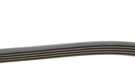 Фото 2 - Ремінь приводний Continental 5PK1130