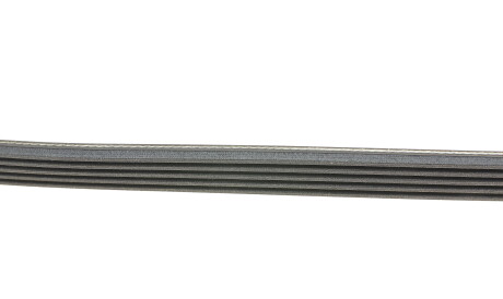 Фото 2 - Ремень приводной Continental 5PK1135