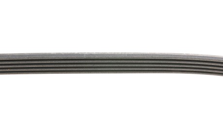 Фото 3 - Ремінь приводний Continental 5PK1180