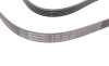 Поліклиновий ремінь MITSUBISHI GALANT VIII OPEL COMBO TOUR, COMBO/MINIVAN, CORSA C, CORSA C/HATCHBACK, MERIVA A, TIGRA 1.2-2.0 09.96- - Continental 5PK1370 (фото 6)