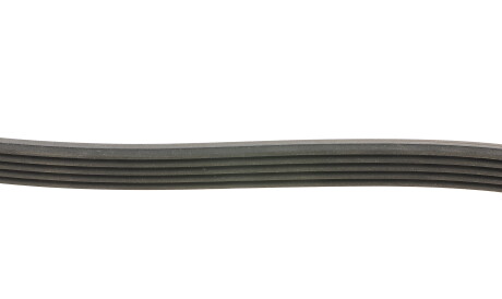 Фото 2 - Ремінь приводний Continental 5PK1387