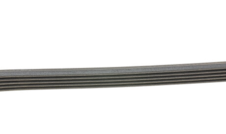 Фото 2 - Ремінь приводний Continental 5PK1515