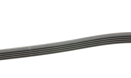 Фото 2 - Ремінь приводний Continental 5PK1570