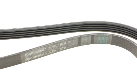 Фото 3 - Ремінь приводний Continental 5PK1570