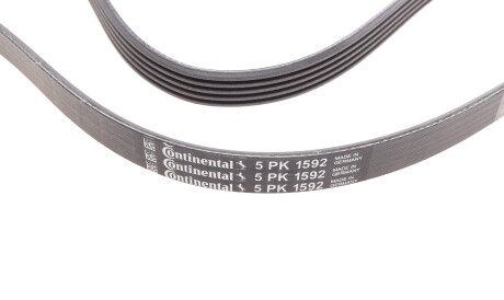 Фото 2 - Ремінь приводний Continental 5PK1592