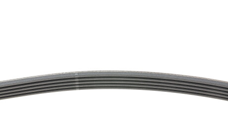 Фото 2 - Ремінь приводний Continental 5PK1800