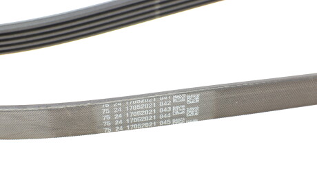 Фото 3 - Ремінь приводний Continental 5PK1800