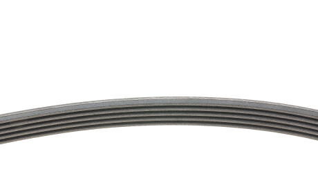 Фото 2 - Ремень приводной Continental 5PK1815