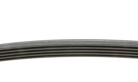 Фото 2 - Ремінь приводний Continental 5PK1840