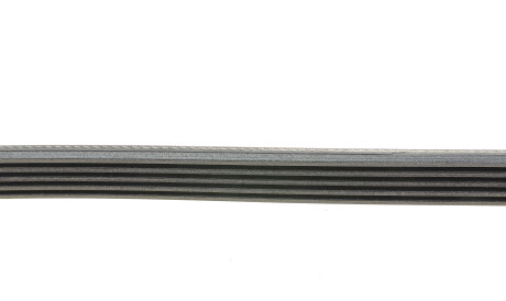 Фото 2 - Ремінь приводний Continental 5PK1850