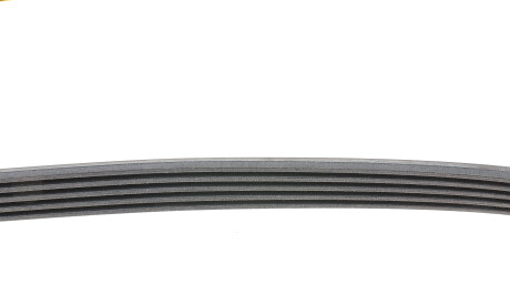 Фото 2 - Ремінь приводний Continental 5PK1885