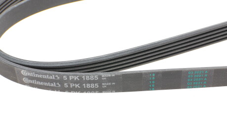 Фото 3 - Ремінь приводний Continental 5PK1885