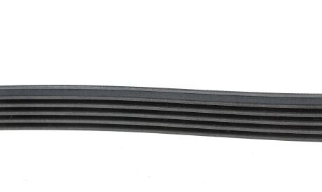 Фото 3 - Ремінь приводний Continental 5PK1960