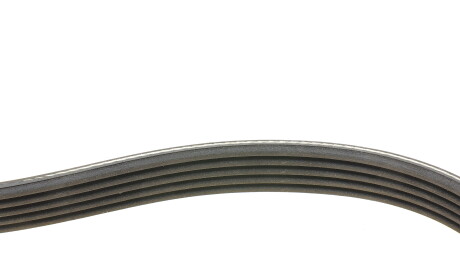 Фото 2 - Ремінь приводний Continental 5PK585